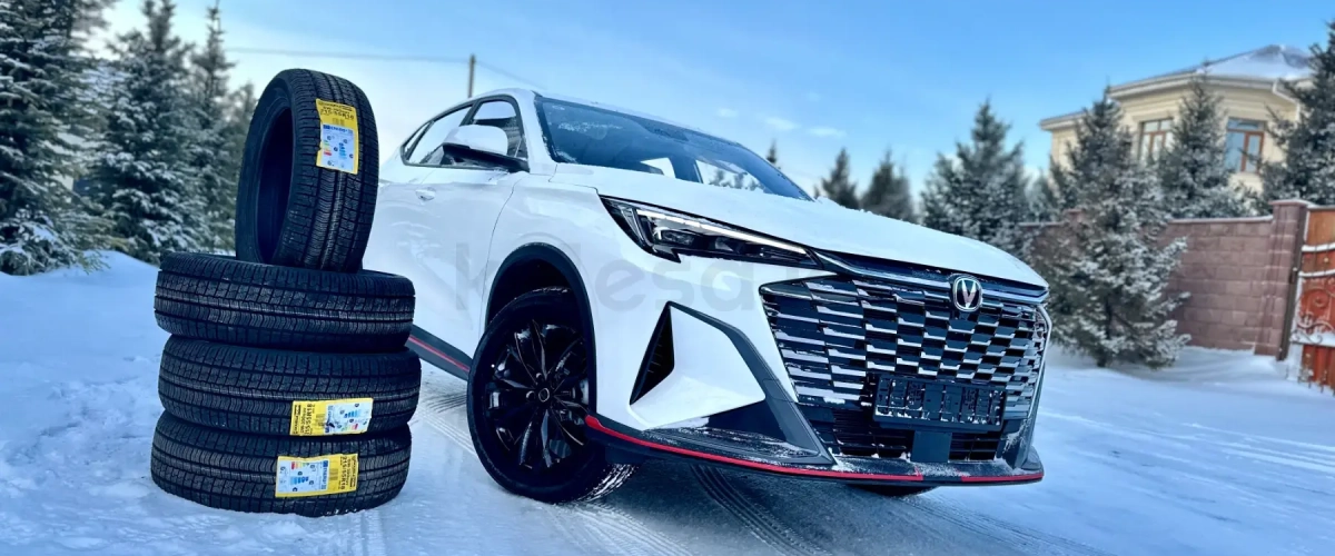 Winter in Astana: Which Rental Car Is Best for City Driving and Highways